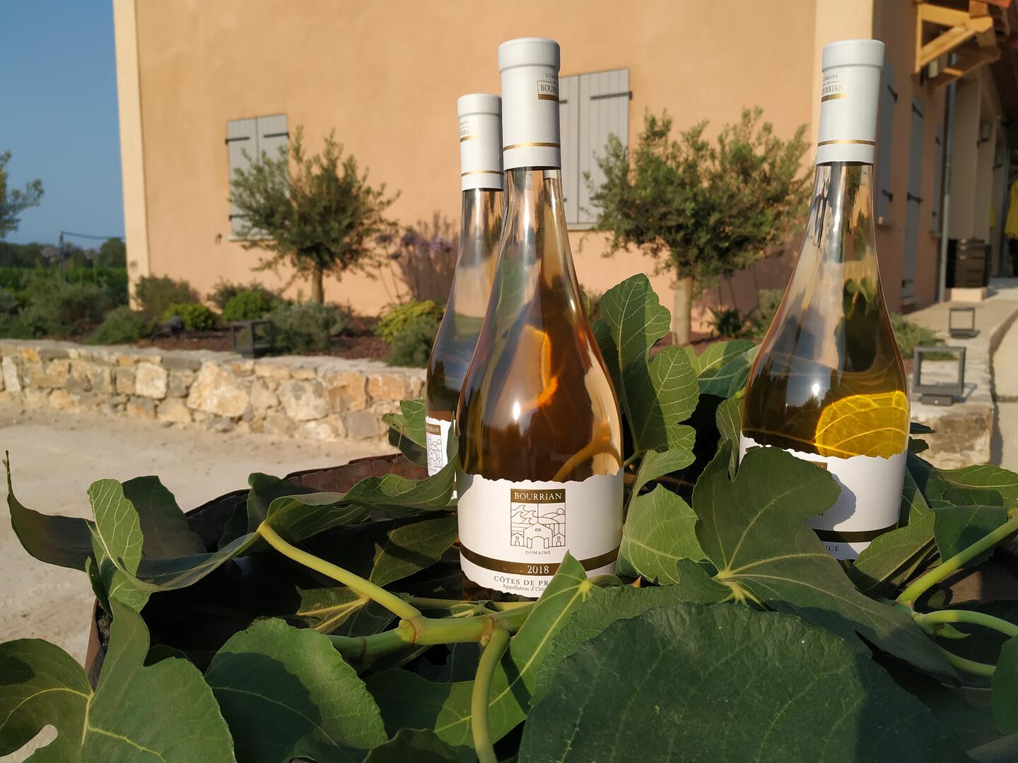 Domaine du Bourrian