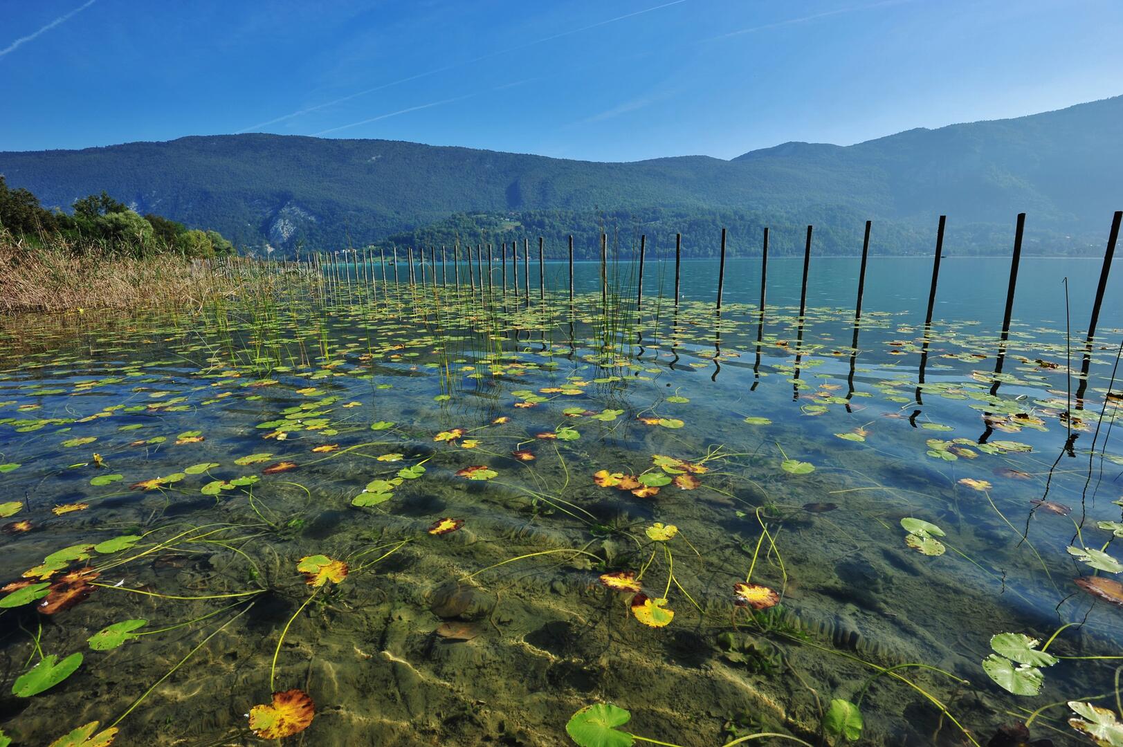 Réserve Aiguebelette