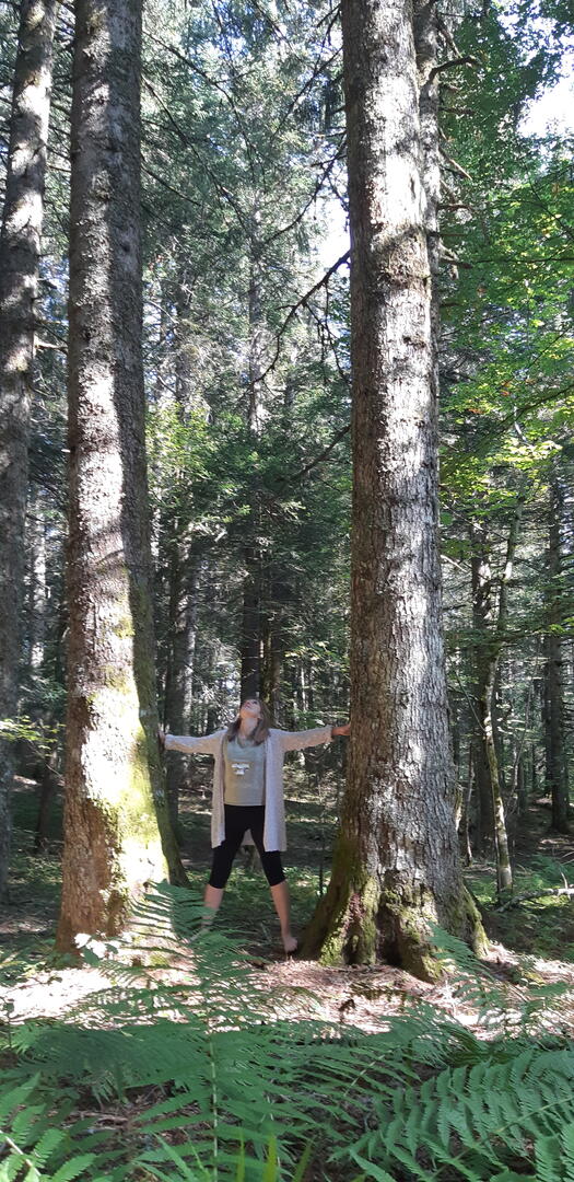 Bain de forêt