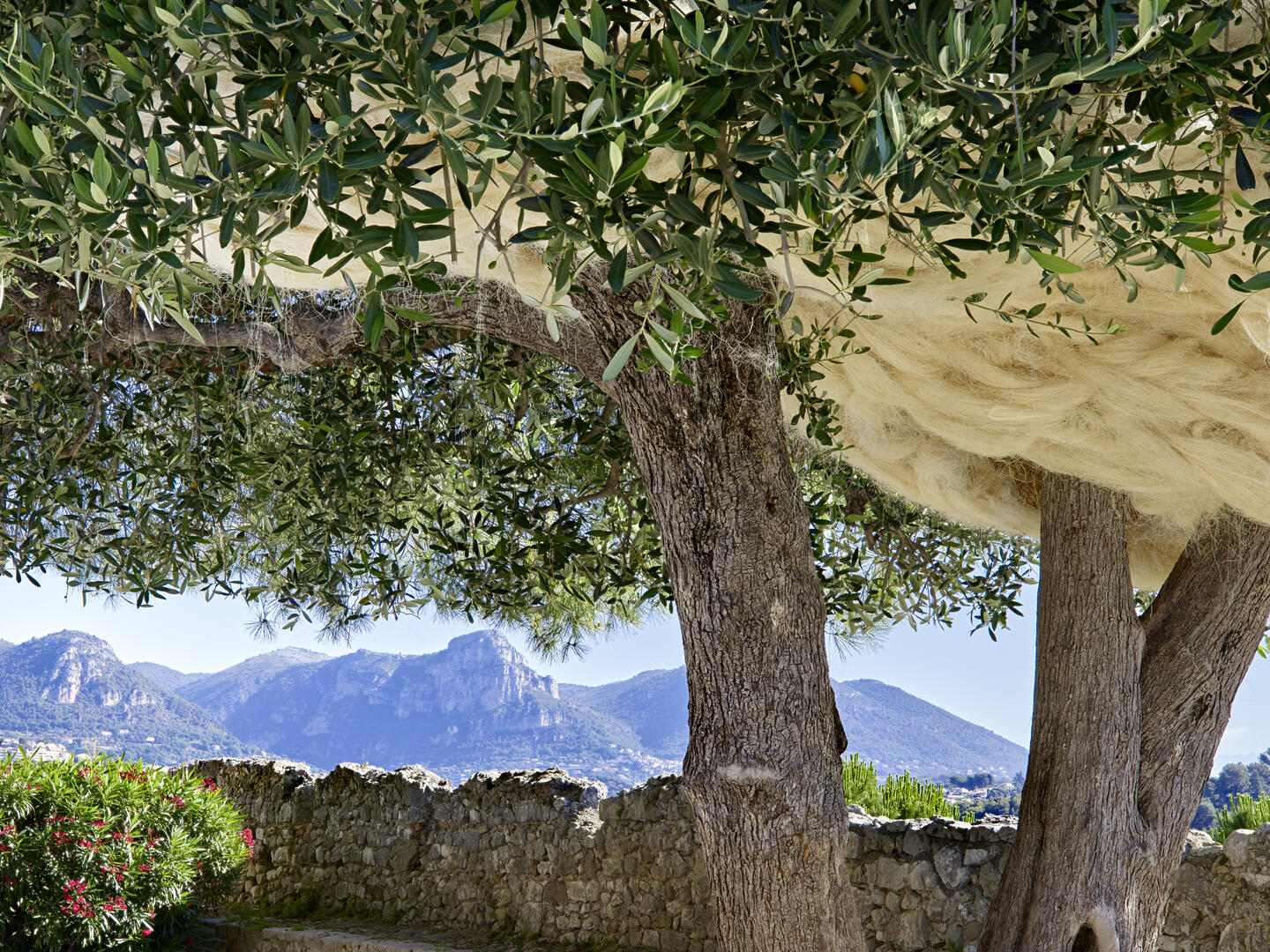 Biennale Internationale Saint-Paul de Vence