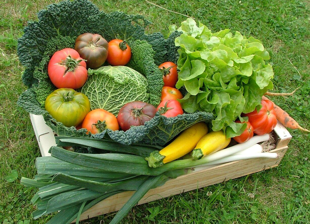 Panier de légumes