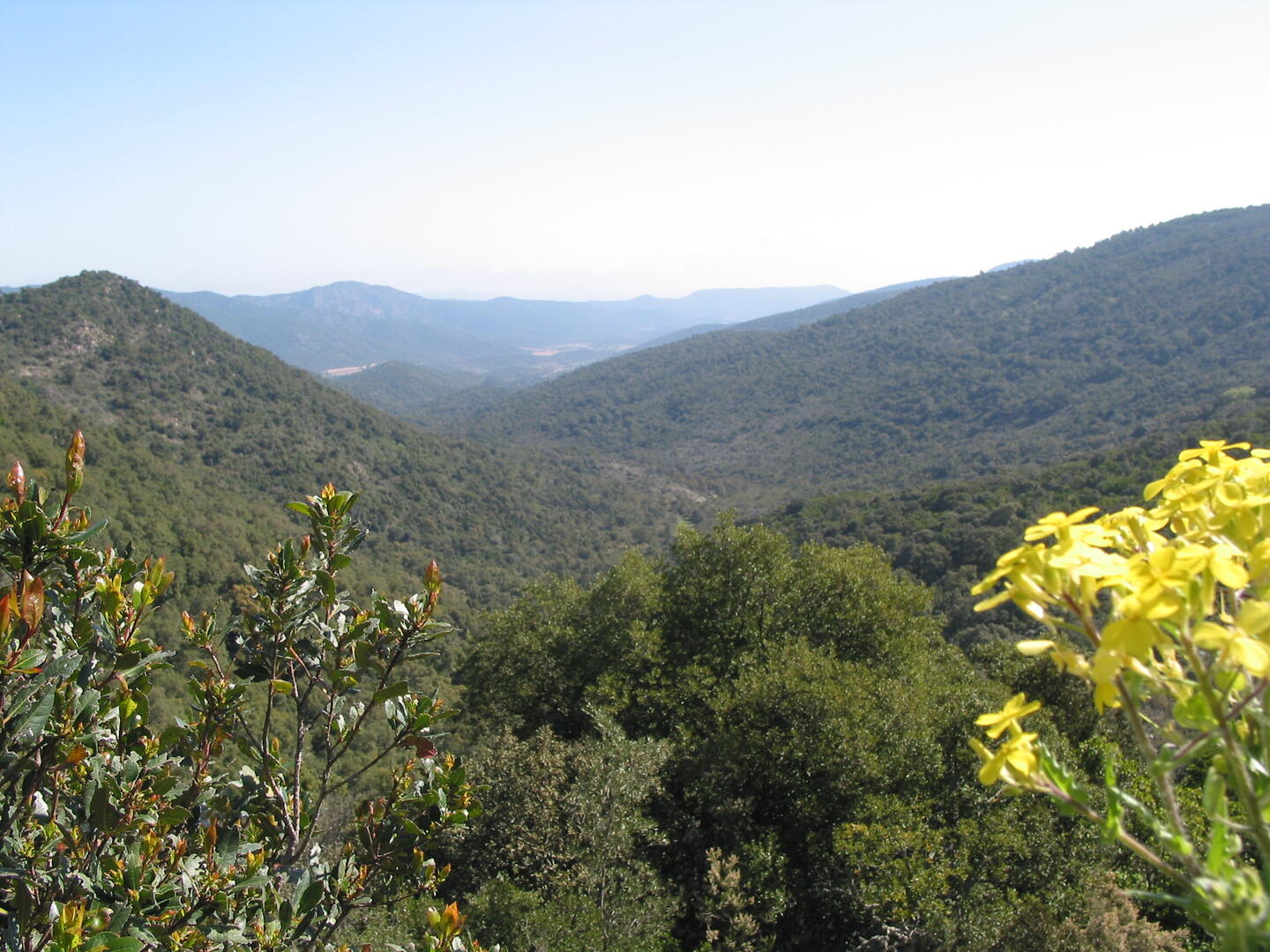Les Hauts de Bormes