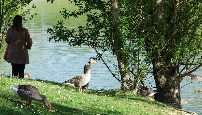 Fête de la nature