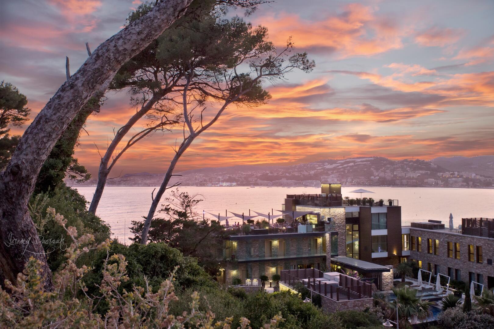 La Farandole - Restaurant - Sanary sur Mer