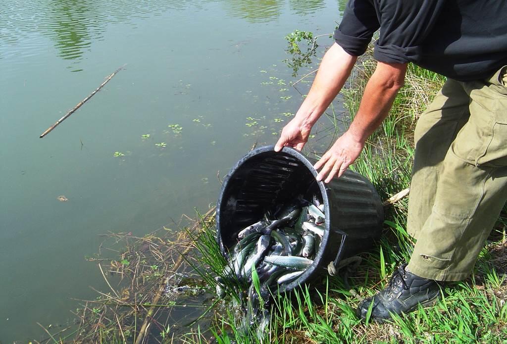 Pêche à la truite en Tarn et Garonne