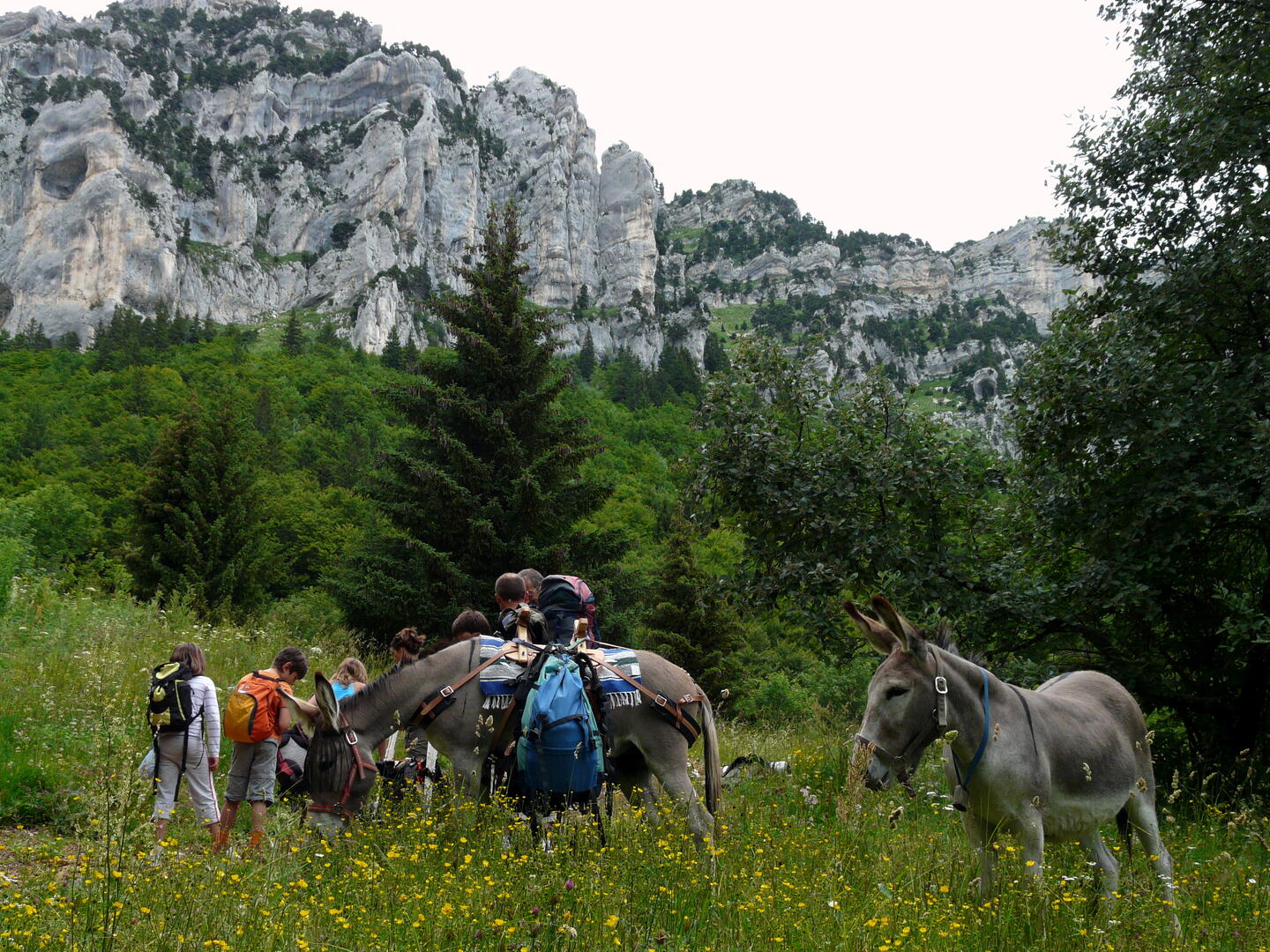 Rando avec les ânes