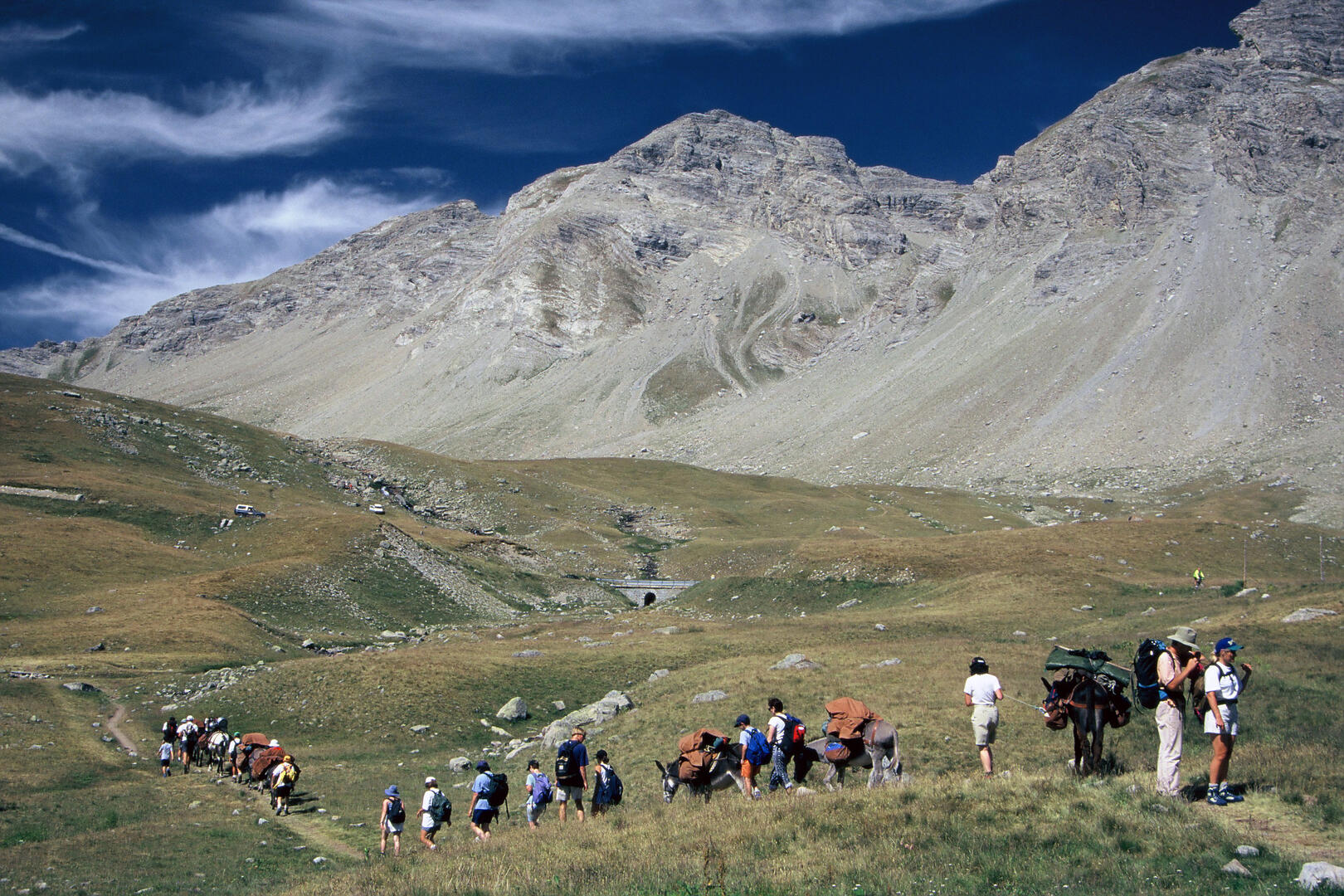 La horde en montagne