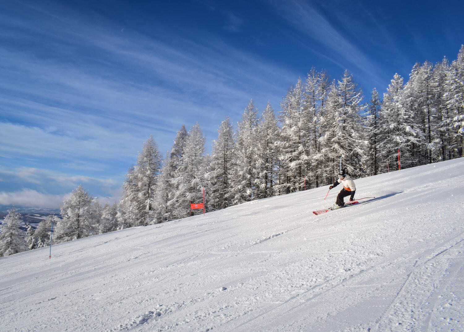 Cours de ski alpin avec l'ESF de Chaillol
