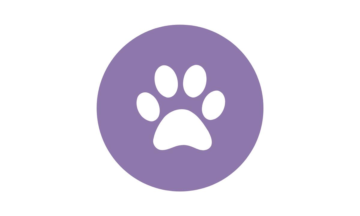img-name-mising