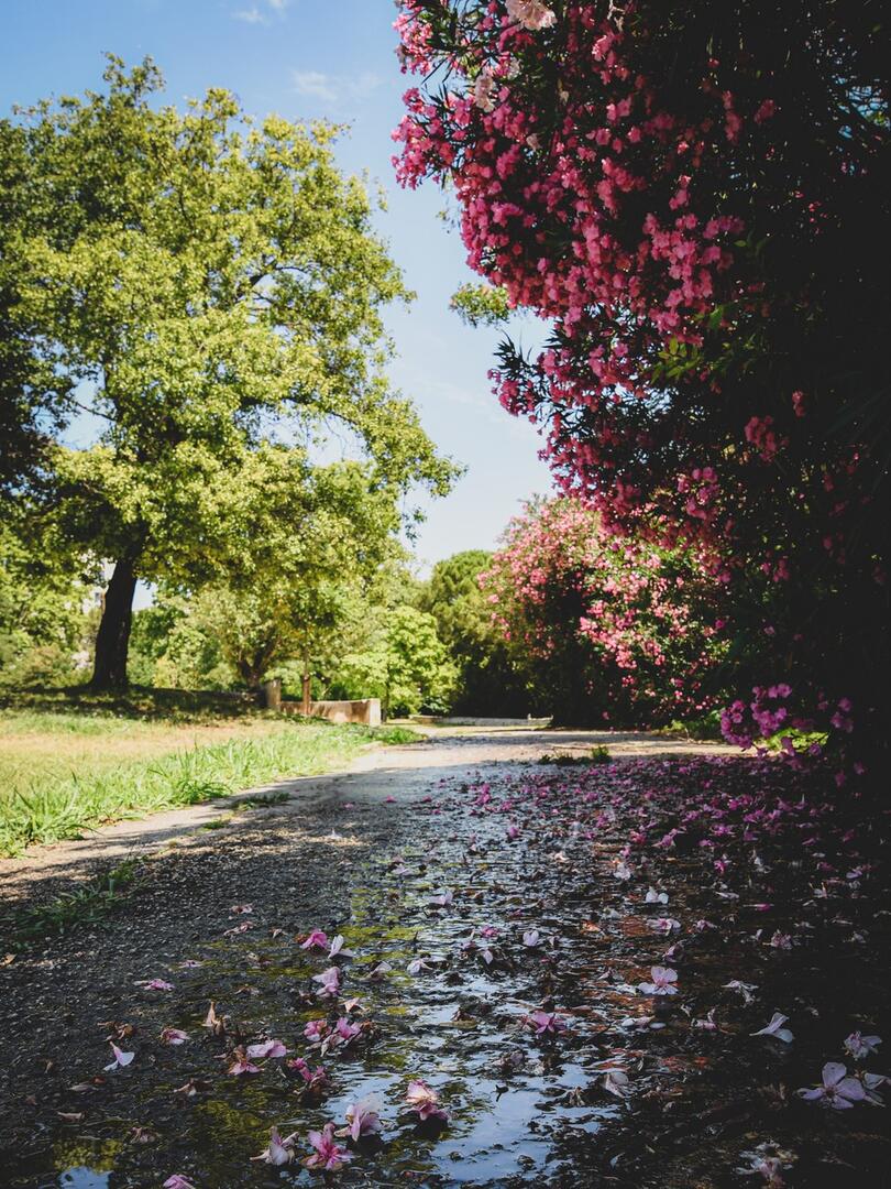 Parc de l'Oasis