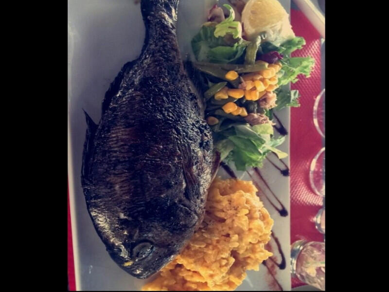 Restaurant La Terrasse Marseille.jpg