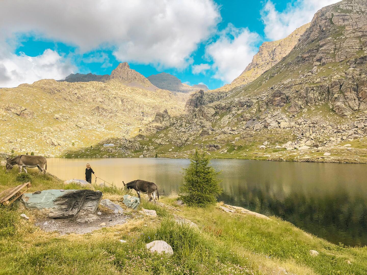 Parc du Mercantour