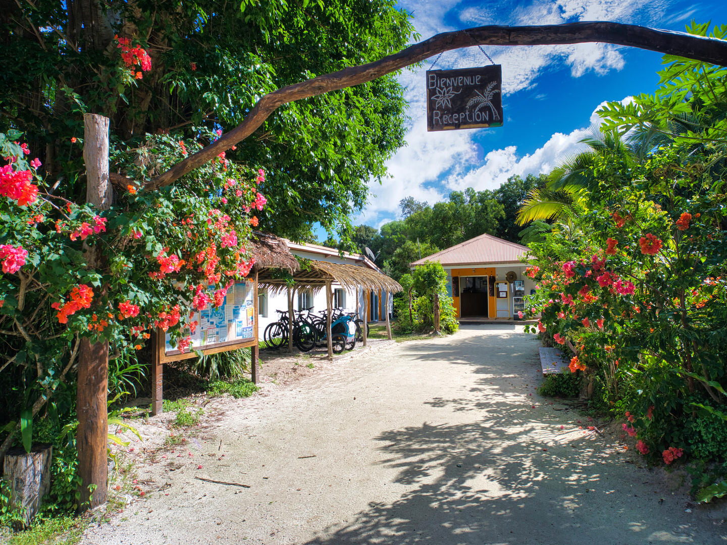 Gîte Nataïwatch