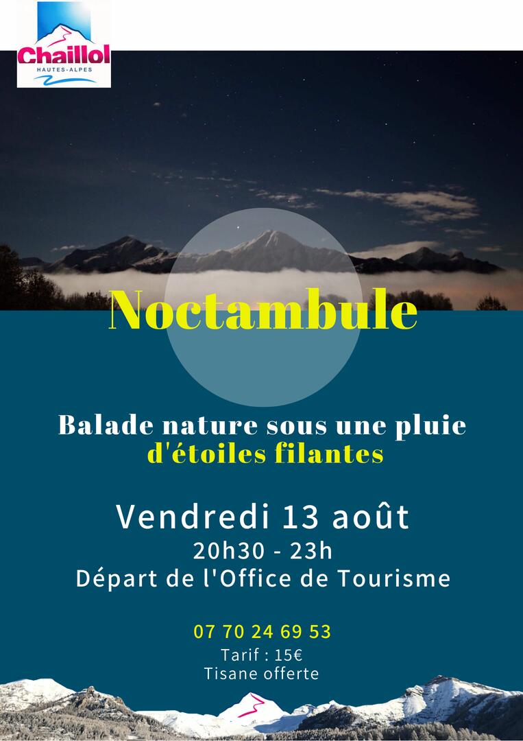 Balade nocturne sous les étoiles filantes