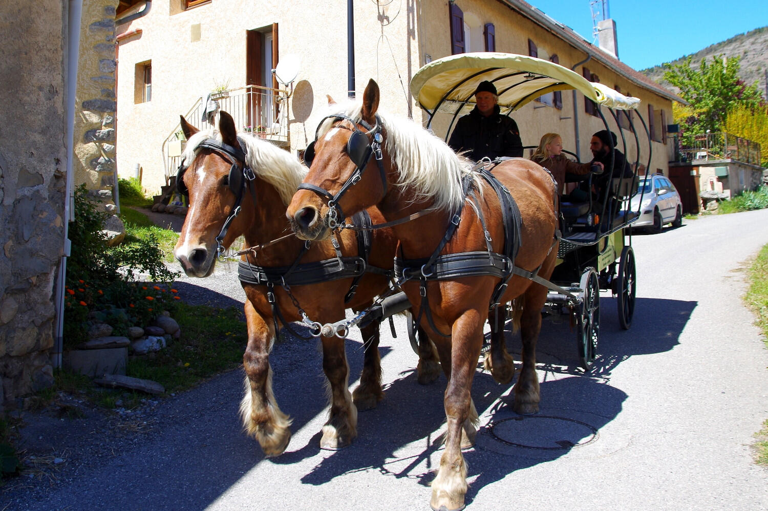 Promenade en calèche
