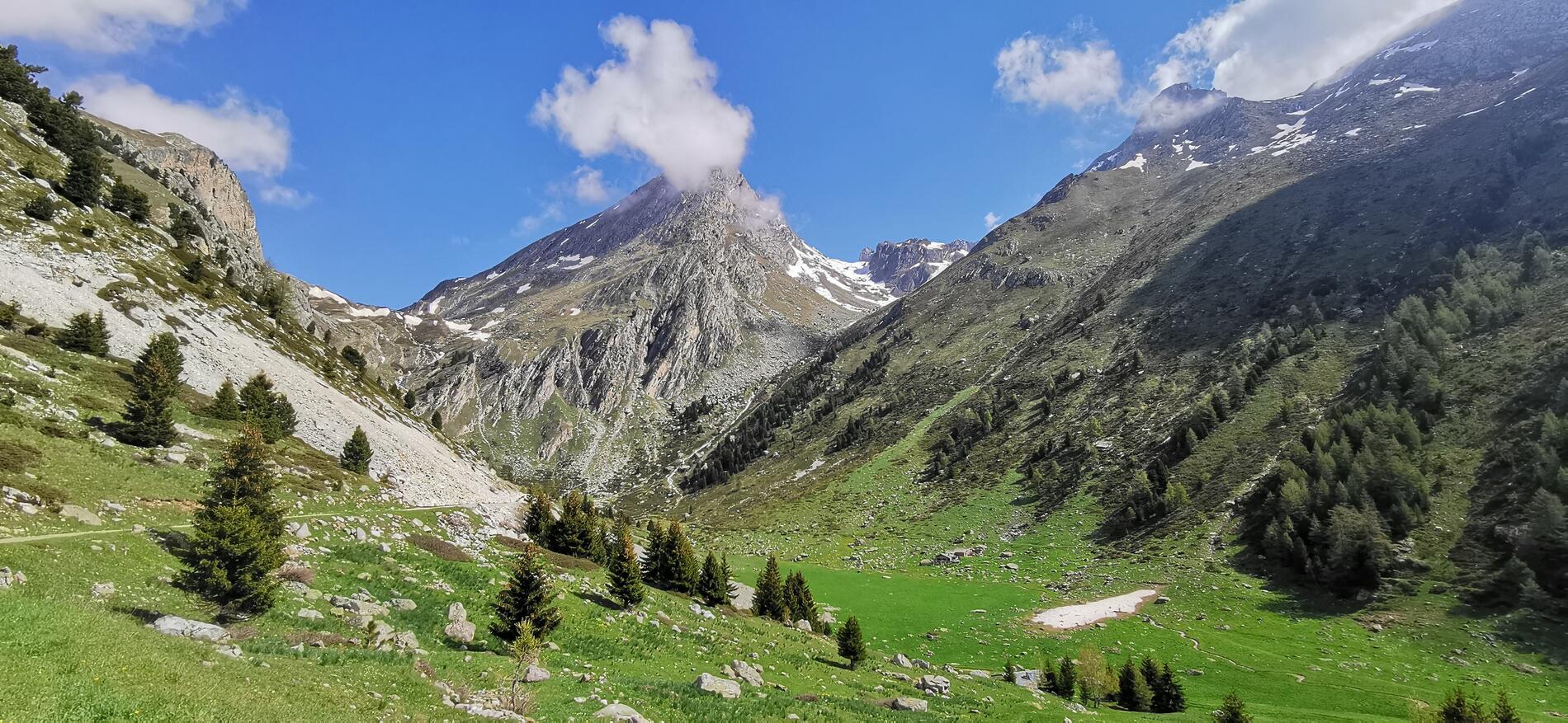 L'Orgère