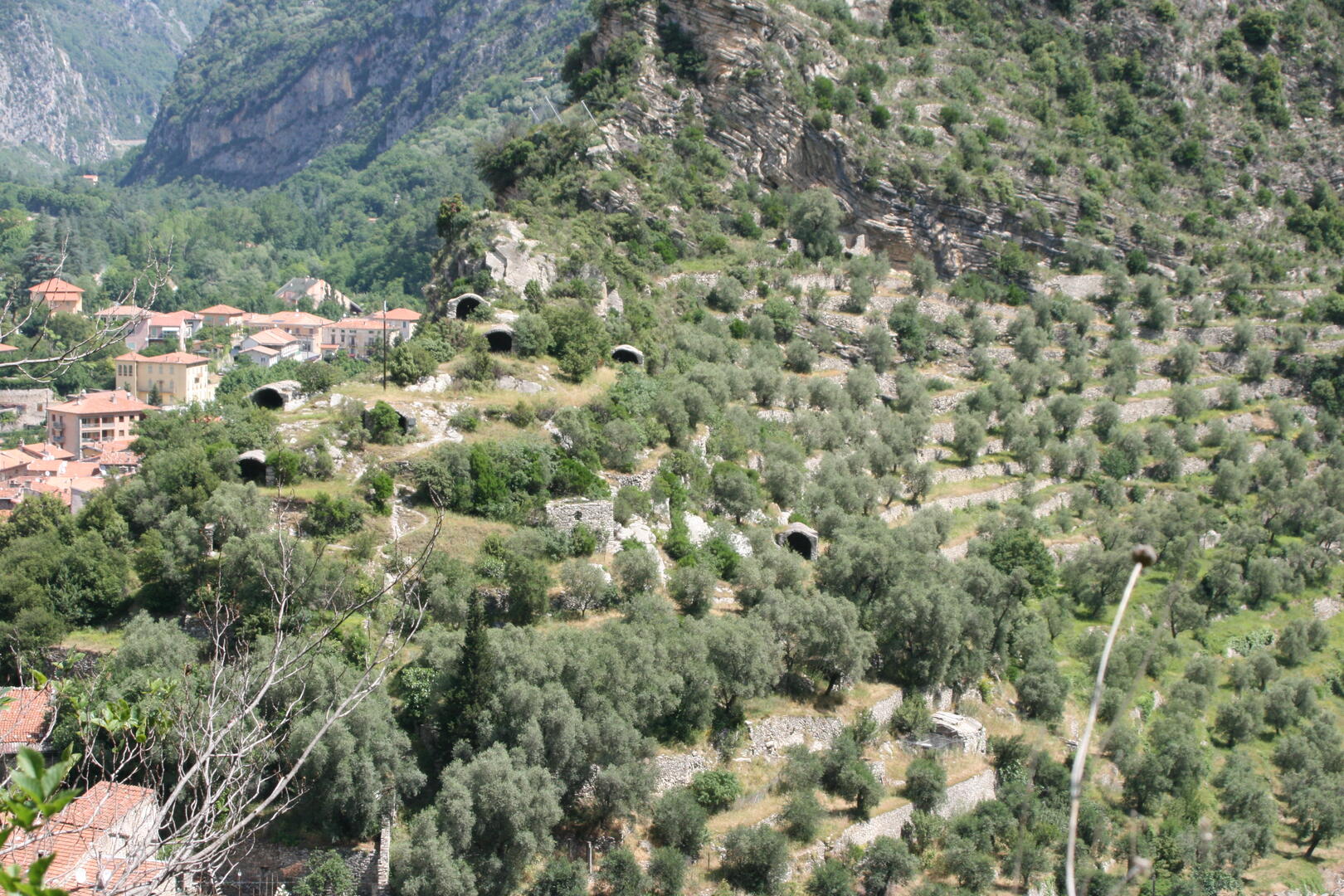 Crotté