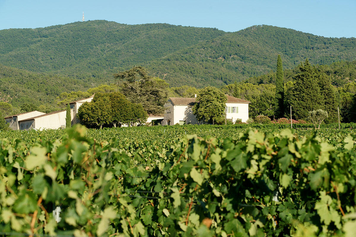 Domaine de Rimauresq
