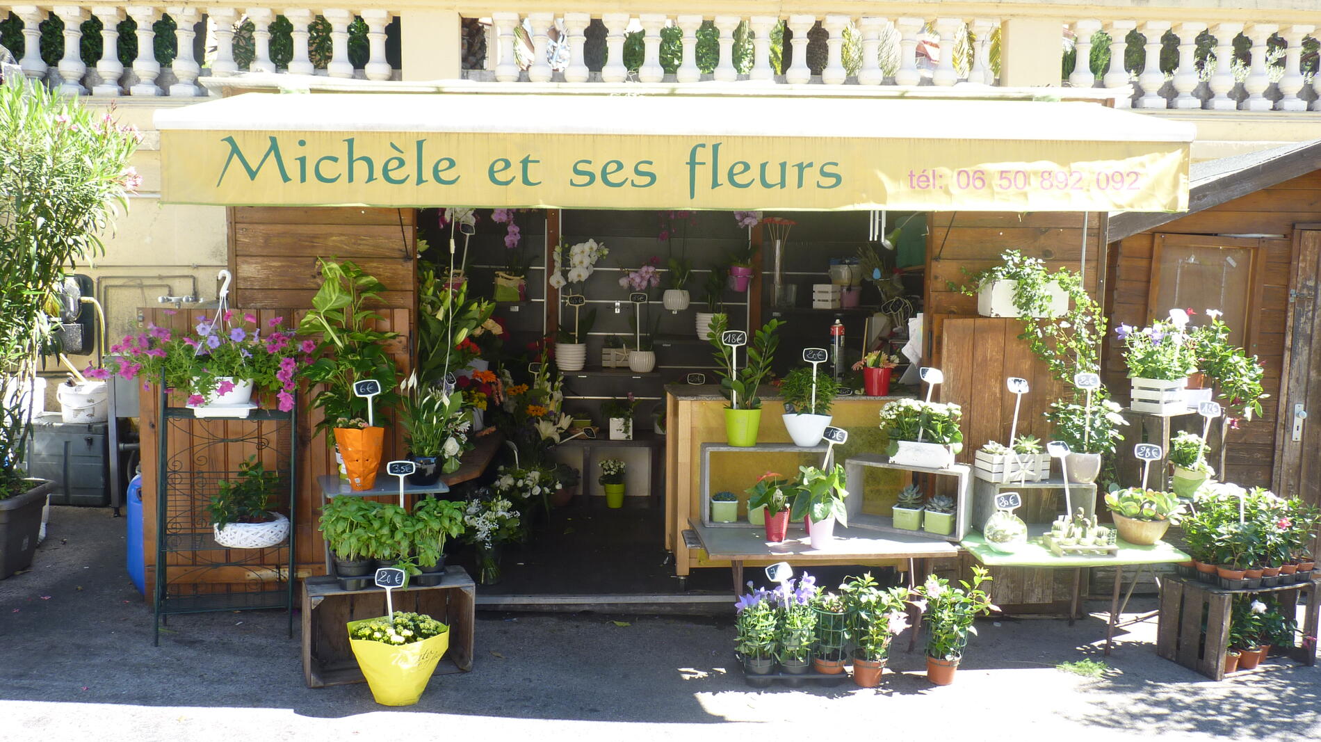 Michèle et ses fleurs