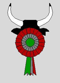 13T4E00159_1_WEB.jpg