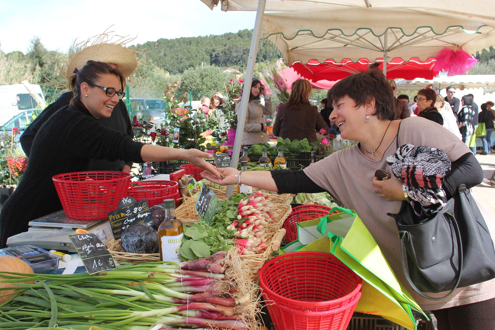 Marché agricole d'Ollioules