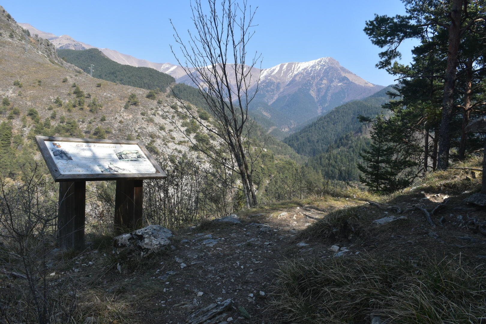 la brigue