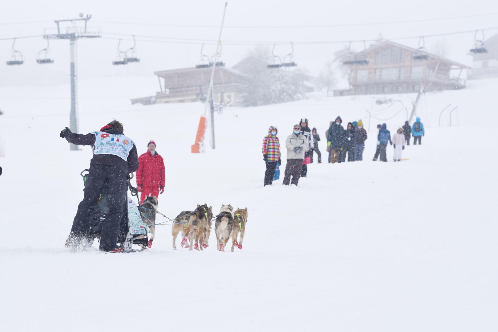 Lekkarod - Course de Chiens de Traineaux