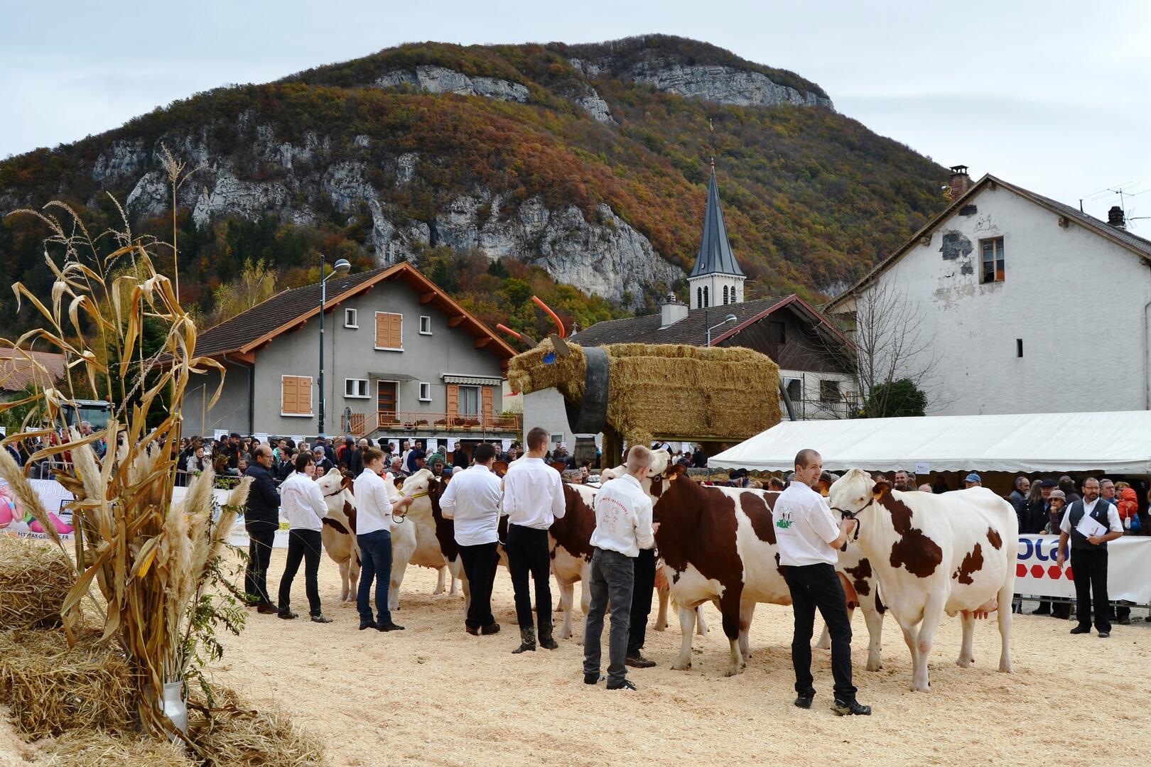 Foire de la Bathie