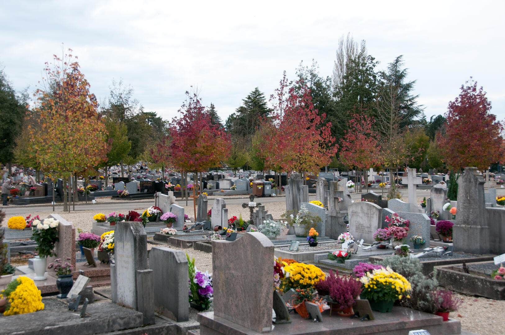 Visite du cimetière Bourg en Bresse©Laurent Troly_PCB 2012 (65)