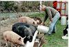 val-cenis-bramans-ferme-etache