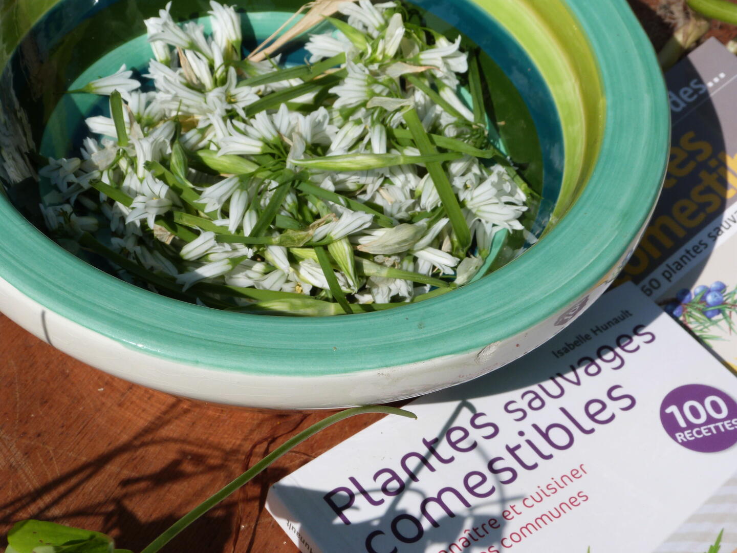 Atelier La cuisine des plantes sauvages
