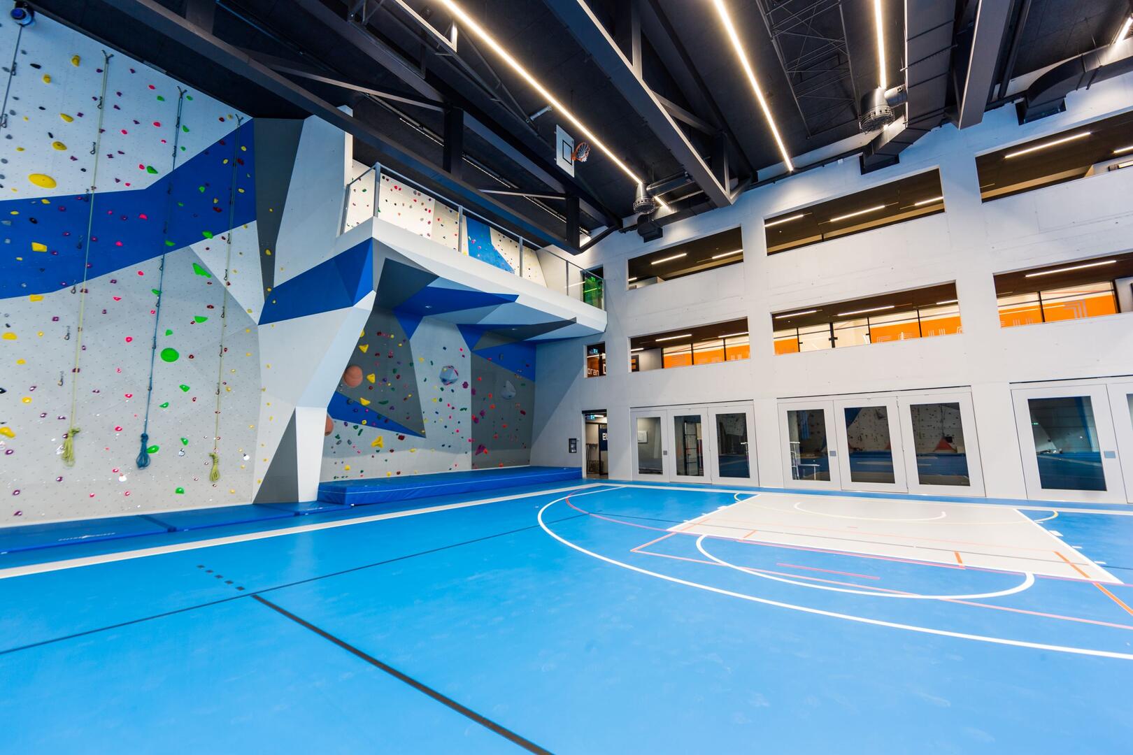 Terrain omnisports