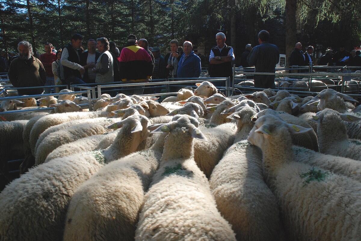 Foire aux bestiaux de La Chapelle