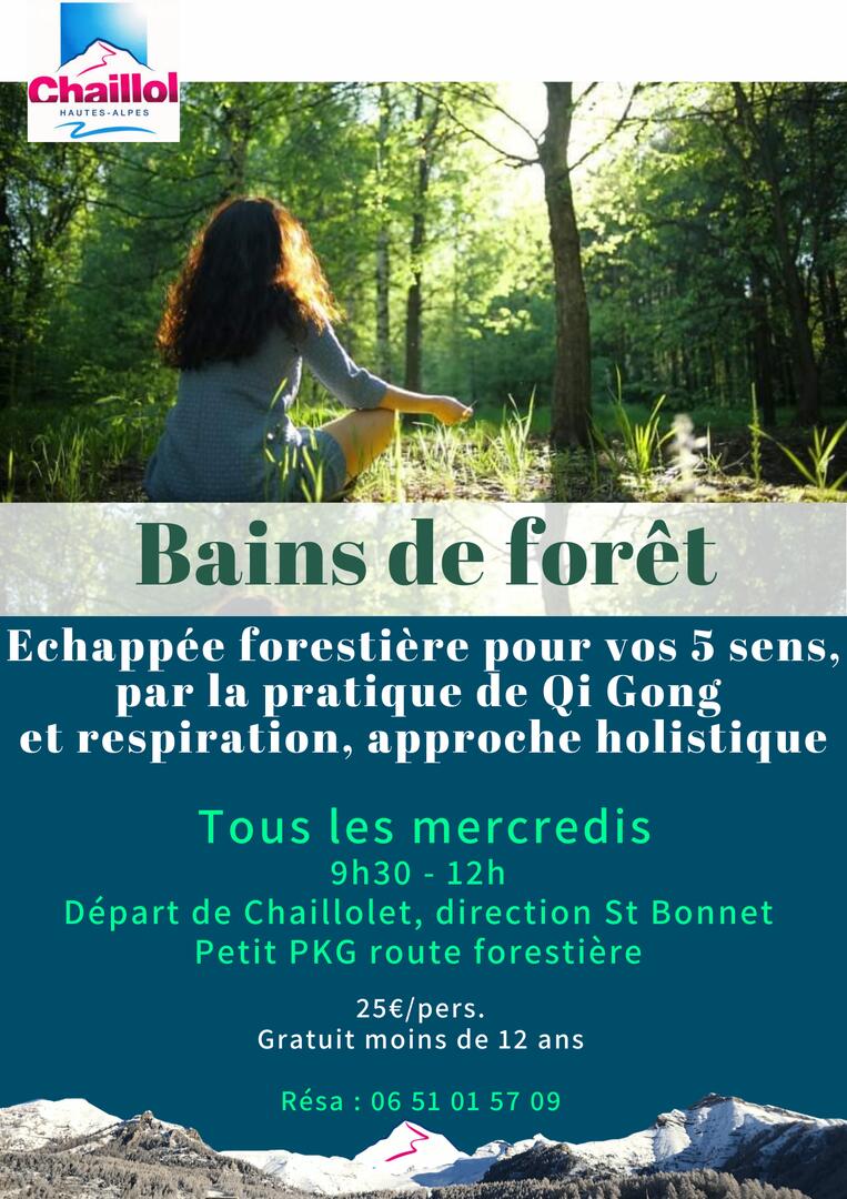 bain forets