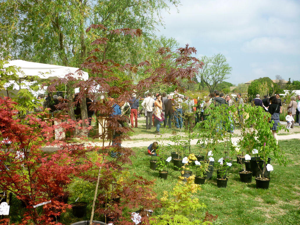 Plantes Rares et Jardin Naturel