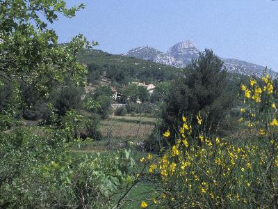 13VI002431_1_WEB.jpg