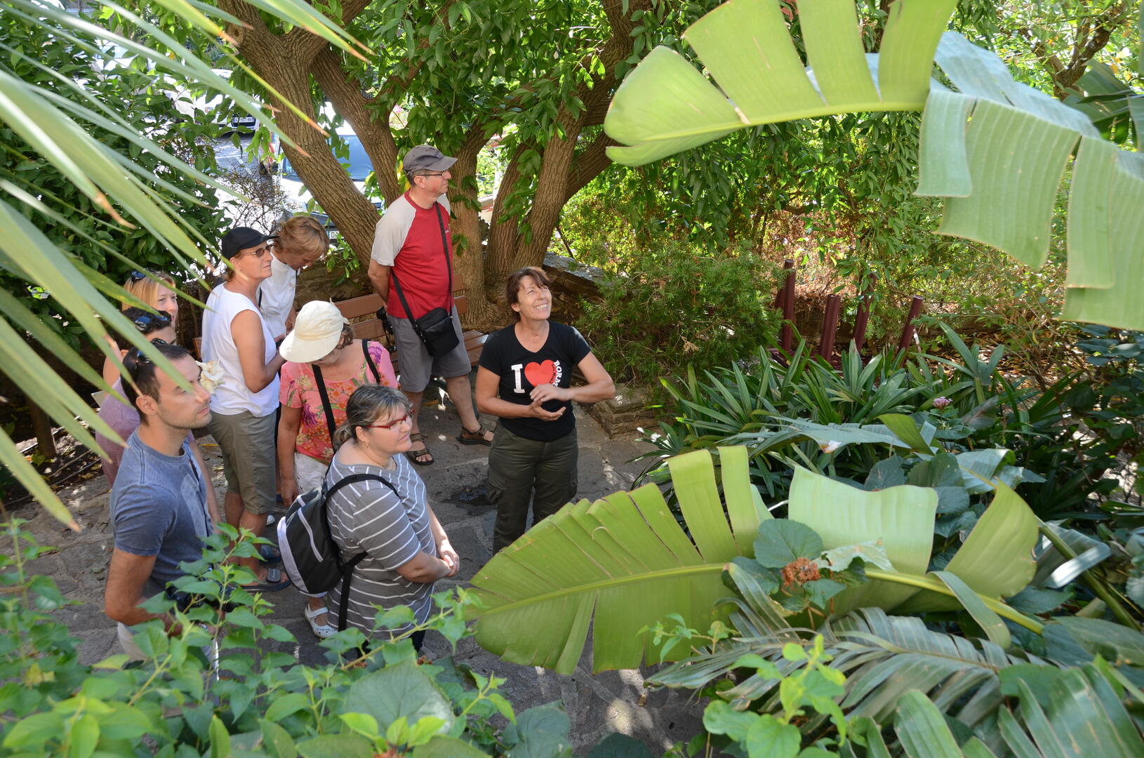 Visite guidée botanique