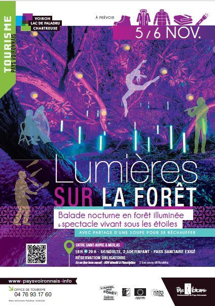 Affiche Lumière sur la forêt