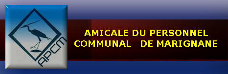 13DIV004686_1_WEB.jpg