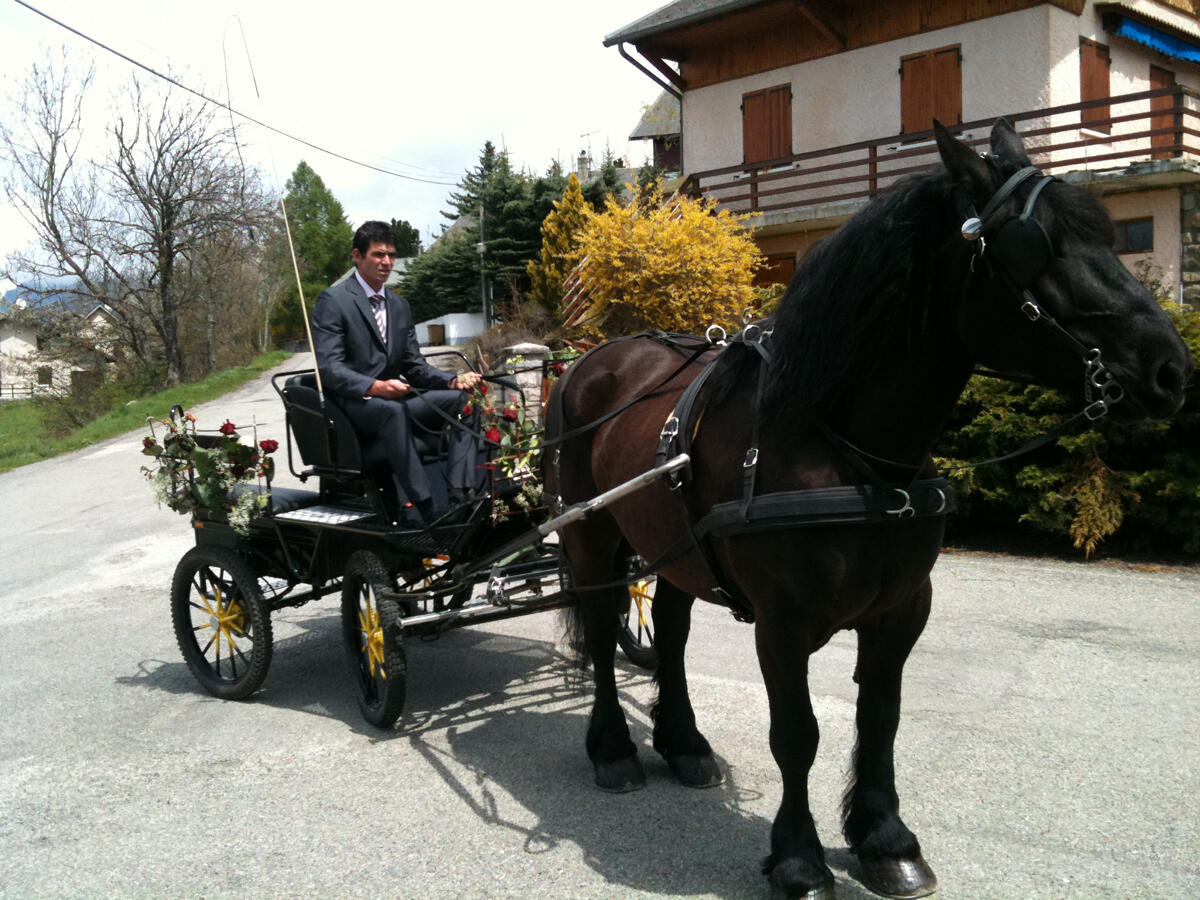 Les Ecuries des Ecrins