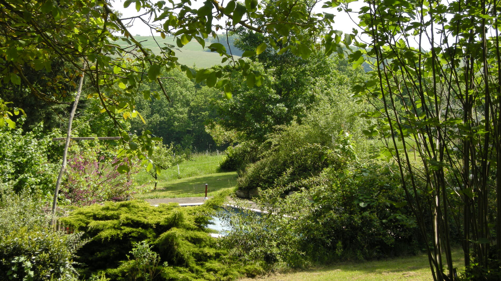 Vue parc et piscine