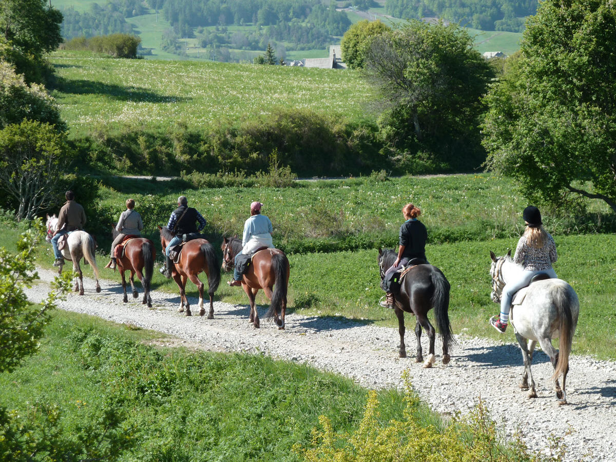 Les Ecuries des Ecrins