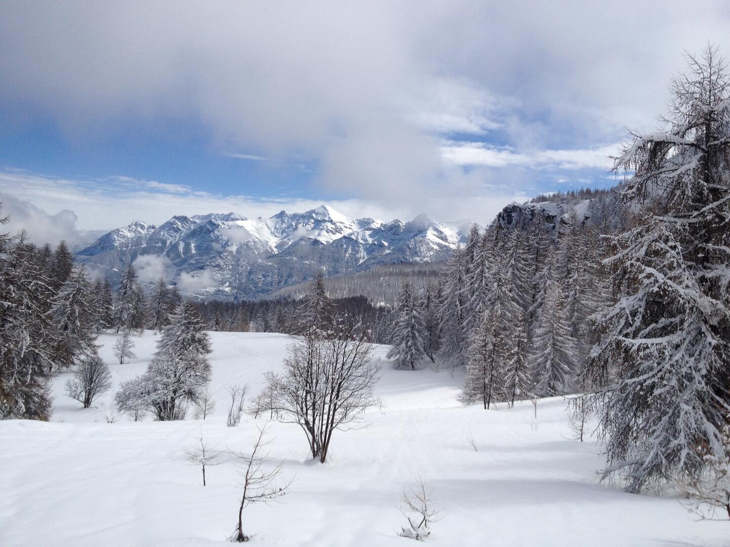les grands alpages de la cabane du Laus