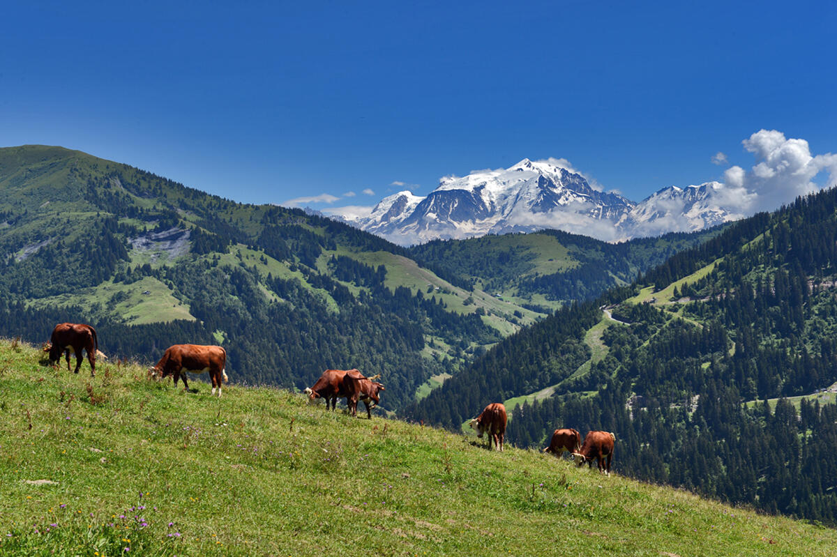 Alpage du Mégevan