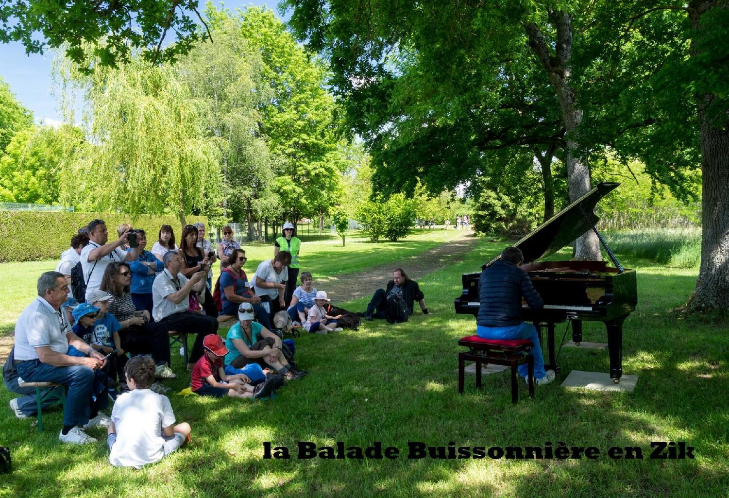 piano édition 2017