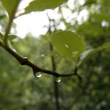 img-name-mising