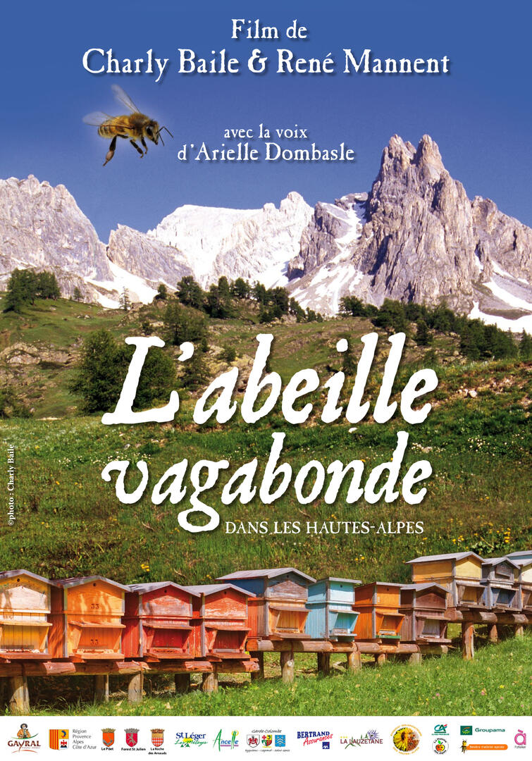 L'abeille vagabonde dans les Hautes-Alpes
