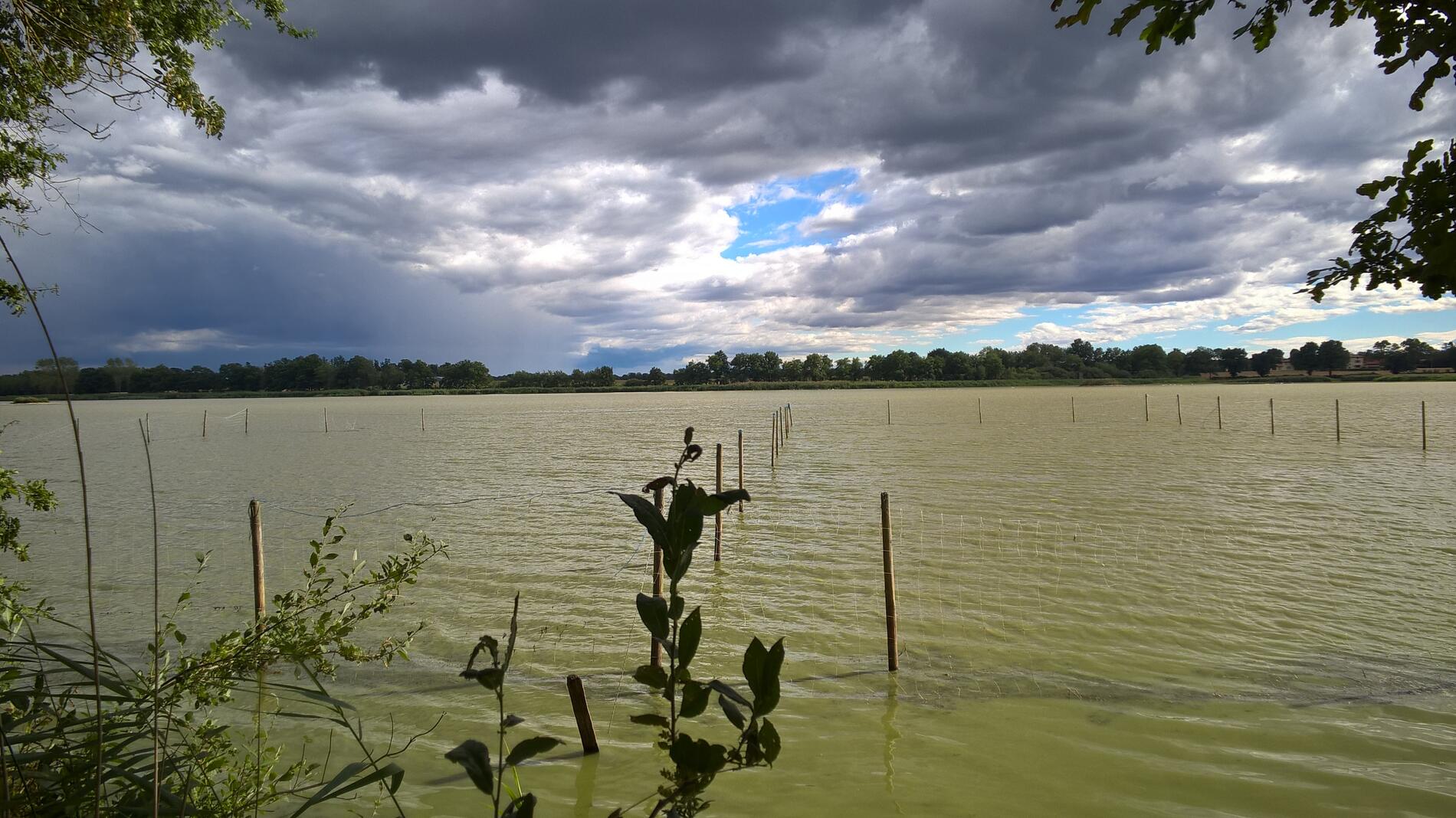 Birieux - Etang du Grand Birieux