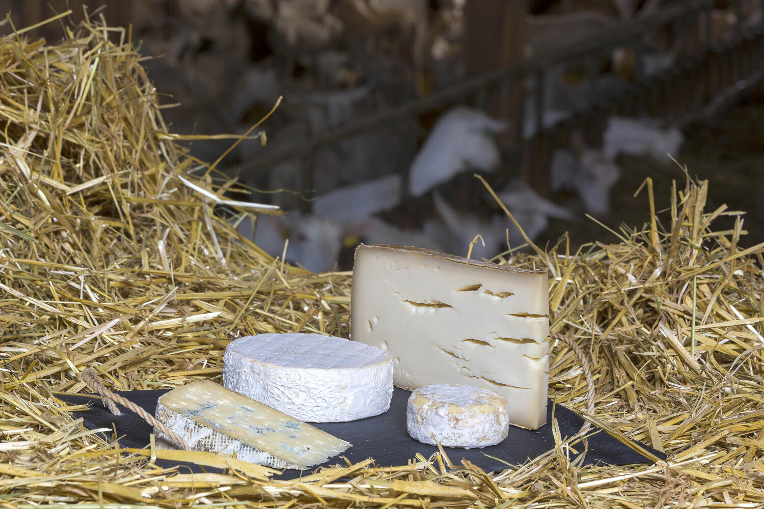 Ferme de Bois noir