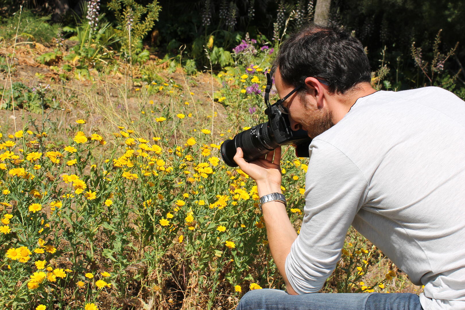Ateliers & Formations ''Photographier la nature"